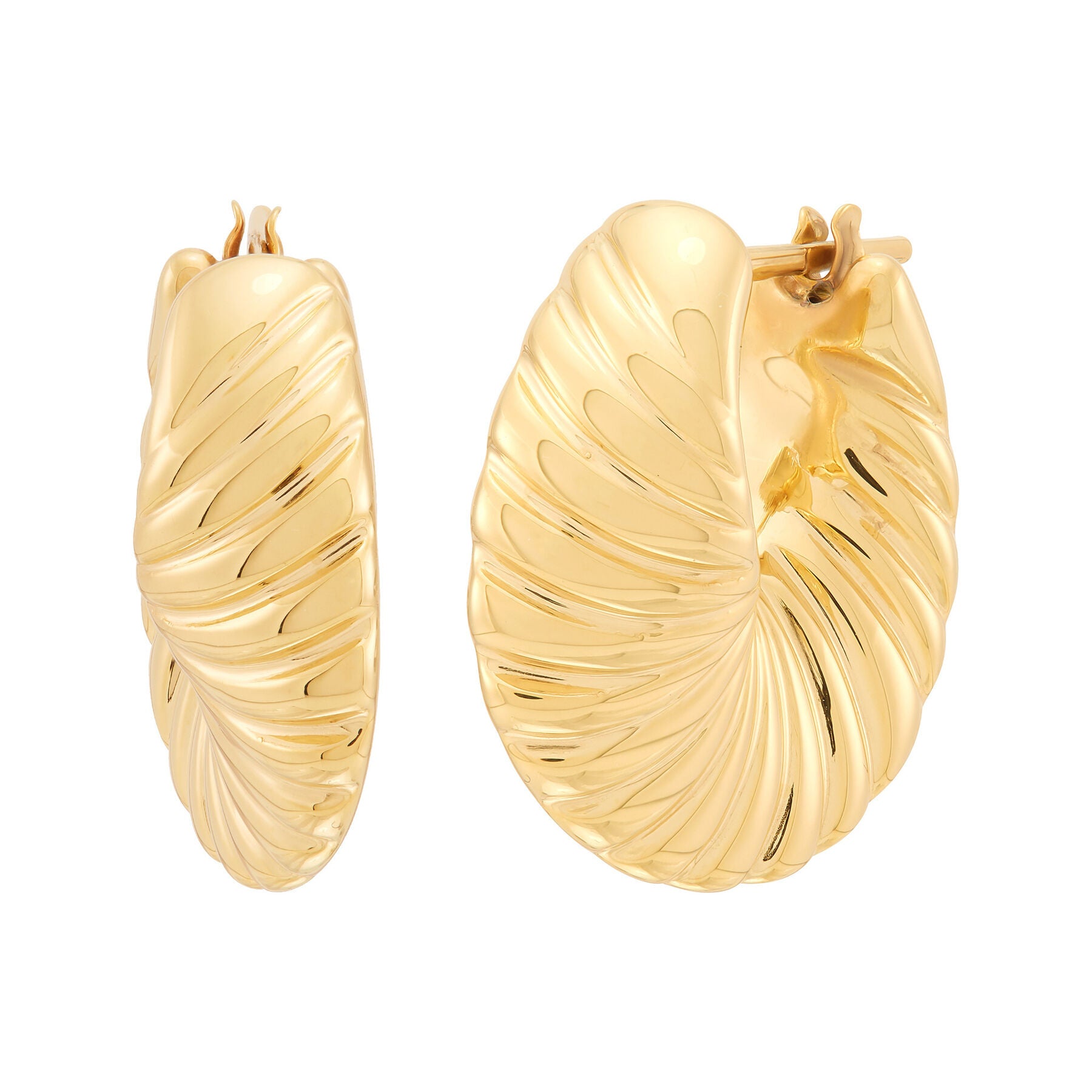 Sculptural Scalloped Shrimp Hoop Earrings