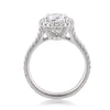 3.01ct Oval Cut Diamond Engagement Ring