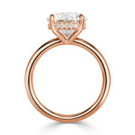 3.31ct Round Brilliant Cut Diamond Engagement Ring