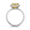 3.74ct Cushion Cut Diamond Engagement Ring