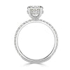 3.01ct Oval Cut Diamond Engagement Ring