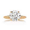 2.89ct Round Brilliant Cut Diamond Engagement Ring